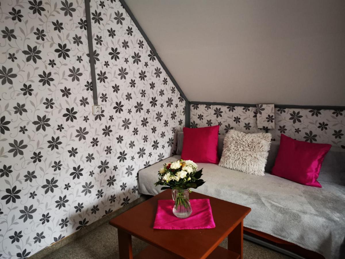 Hotel Penzion Tomy Na Pláži Frymburk Exteriér fotografie